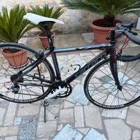 Bici da corsa Carraro