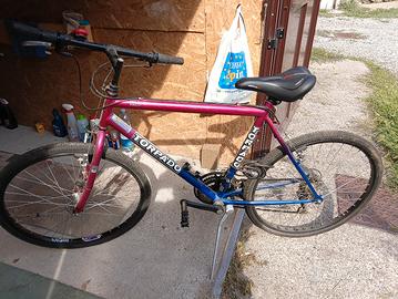 Mountain bike uomo