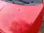 Immagine 12