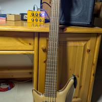 Basso mancino 5 corde neck, strigs through