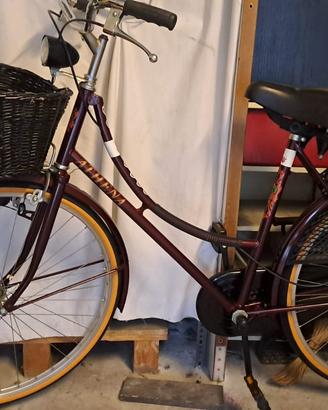 bicicletta da donna tipo olandese