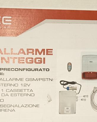 allarme