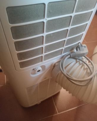 condizionatore , deumidificatore ,riscaldatore por