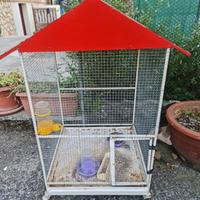Gabbia spaziosa per canarini tenuta bene  con aces