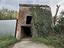 Immagine 29