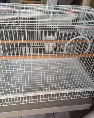 Gabbia per uccelli