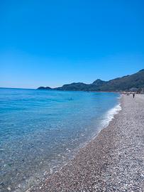 Bivano letojanni 20 metri dal mare