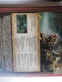 Il signore degli anelli dvd