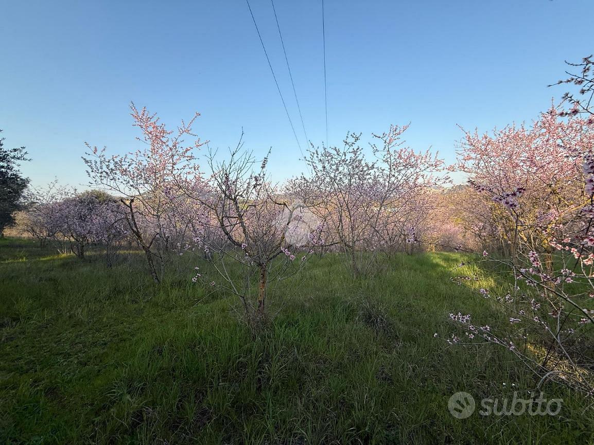 TER. AGRICOLO A GUIDONIA MONTECELIO - View 2