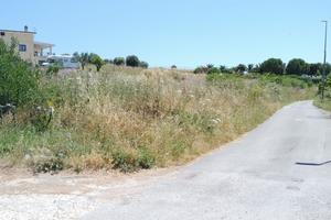 Terreno a civitavecchia strada delle molacce