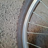 bicicletta 20 pollici