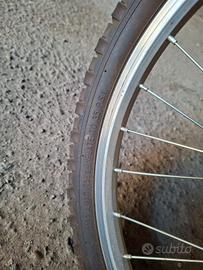 bicicletta 20 pollici