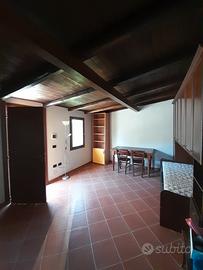 Monolocale arredato con giardino