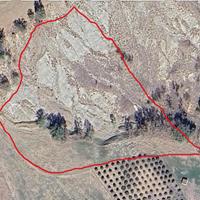 Terreno Agricolo Condofuri M. - contrada S.Lucia