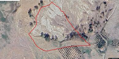 Terreno Agricolo Condofuri M. - contrada S.Lucia