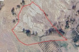 Terreno Agricolo Condofuri M. - contrada S.Lucia