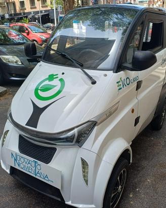 PIAGGIO Porter NP6 RUNHORSE MINI TRUK ELETTRICO