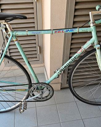 Bianchi 1973 Campione del Mondo Bici