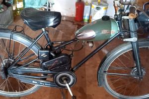 bicimotore