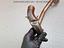 Immagine 12
