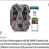 Fototrappola 