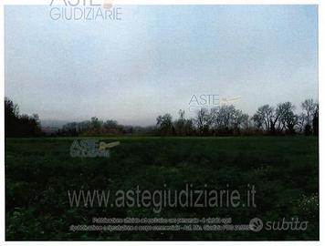 Terreno Agricolo Orte [A4337772]