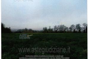 Terreno Agricolo Orte [A4337772]