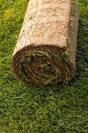 Prato | Erba a rotoli  Lecce | Taranto | Brindisi