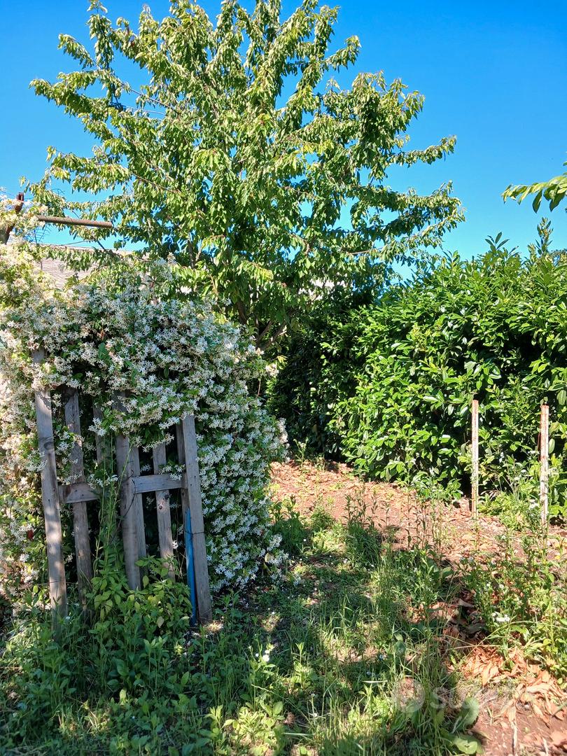 Terreno agricolo - Vista 4
