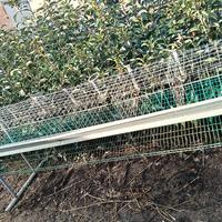 gabbia per galline ovaiole 