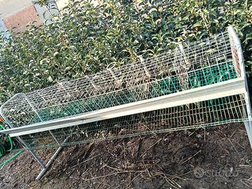 gabbia per galline ovaiole 