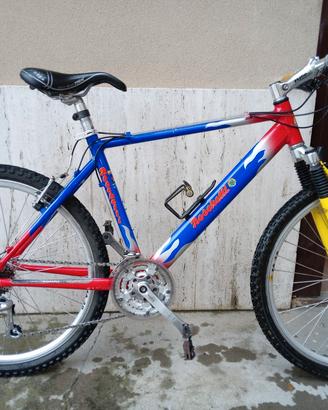 biciclette 