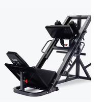 Leg Press/Hack Squat Machine