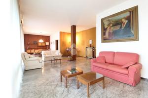 5 LOCALI A REGGIO NELL'EMILIA