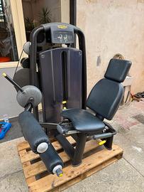 leg curl seduto technogym 