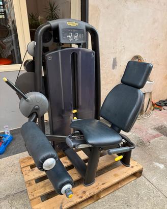 leg curl seduto technogym 