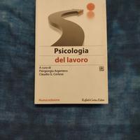 Psicologia del lavoro", a cura di Piergiorgio Arge