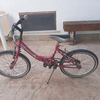 Bicicletta 20 viola 