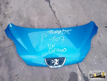 COFANO PEUGEOT 107 1.0 B 2009 1KR 1488/2025