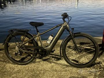 Bicicletta elettrica