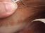 Immagine 6
