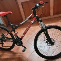Bicicletta Sovrano