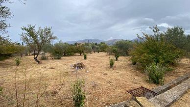 Rif. 1557 Carini Terreno mq 6500 circa +acqua e lu