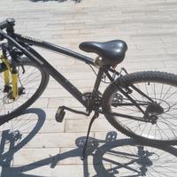 Bicicletta mountain bike