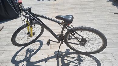 Bicicletta mountain bike