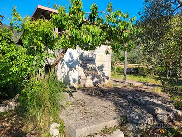 Terreno 3300 mq con uliveto secolare - Sonnino(LT)