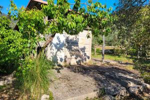 Terreno 3300 mq con uliveto secolare - Sonnino(LT)