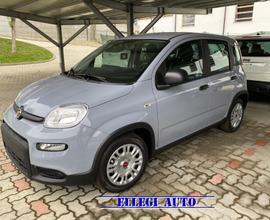 FIAT Panda 1.0 FireFly S&S Hybrid MY 23 KM 0