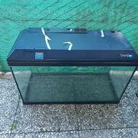 acquario