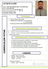 Autista c+cqc autobetoniera pompe calstruzzo